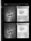 Engagement Re-photos (4 Negatives), September 16, 1960 [Sleeve 47, Folder a, Box 25]